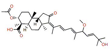 Globostellatic acid B
